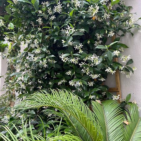 Апартаменти Maria'S Jasmine Волос Екстер'єр фото